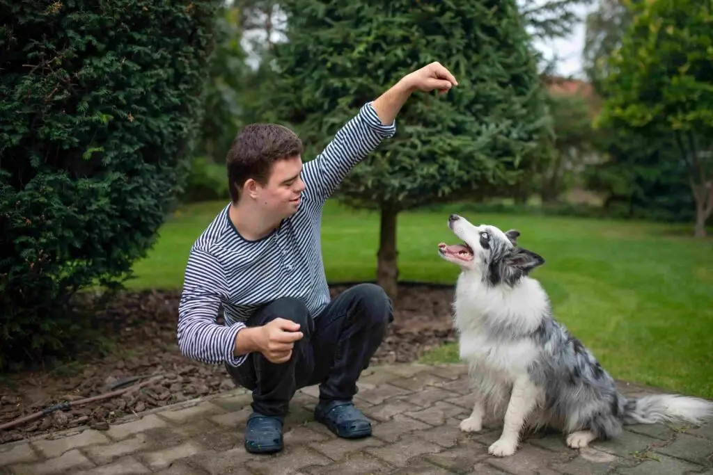 Young man crouching in a garden training a dog with a treat