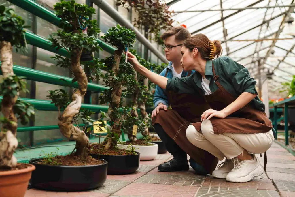 Two workers in aprons tending bonsai trees in a greenhouse